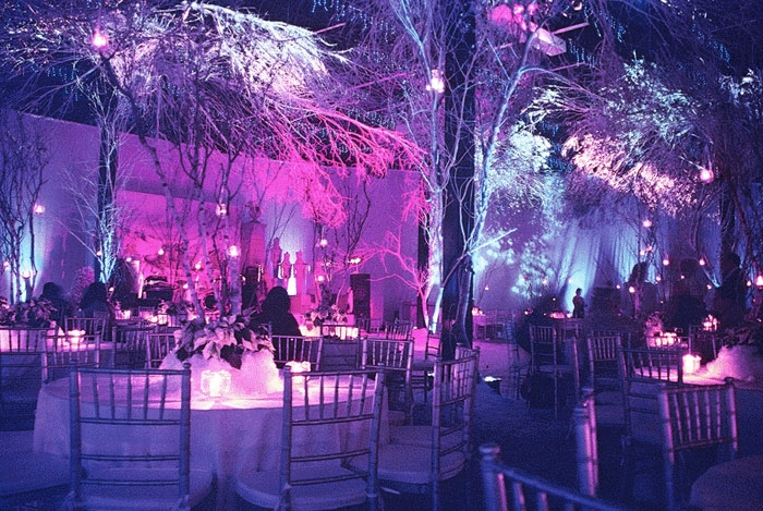 Ballroom-Bayou-Pic-Winter-Wonderland