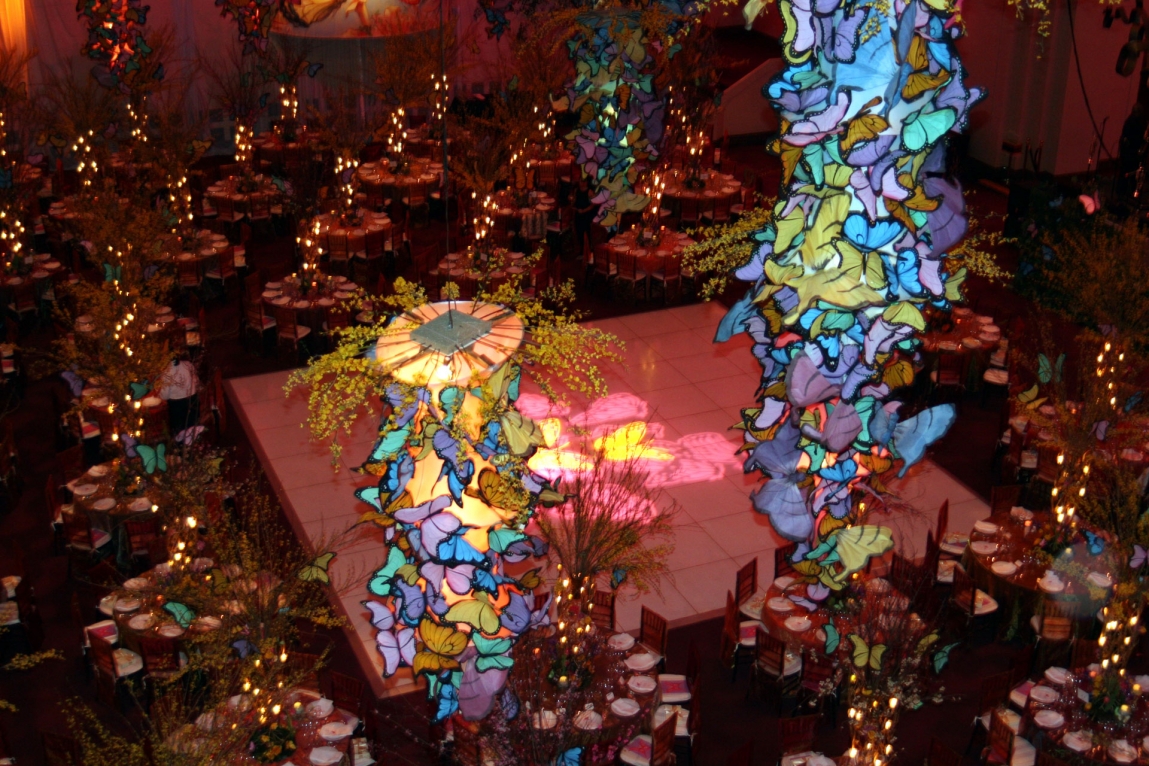 Fantasy-204